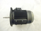 MOTOR  G75-N75-PG50-PG65-55PM-70PM
